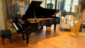 Steinway Модель D 